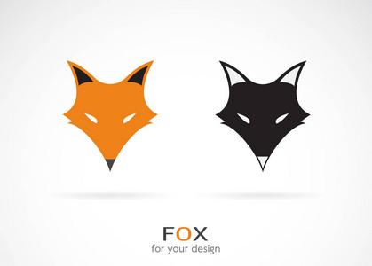 狐狸脸设计在白色背景上的向量。野生动物。F