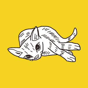 猫咪涂鸦绘图照片
