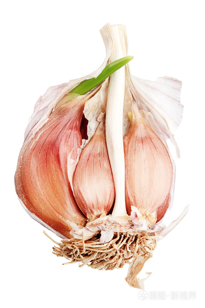 大蒜鳞茎.微距拍摄照片-正版商用图片0ccfj4-摄图新视界