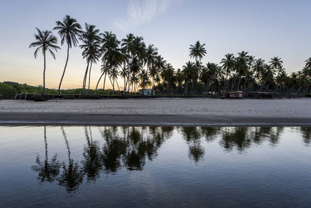 Cueira 在 Boipeba 海滩