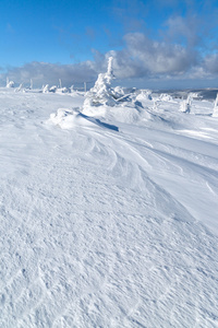 深雪