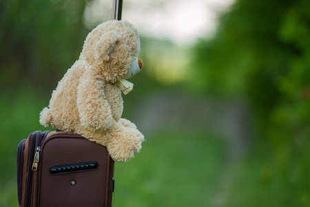 玩具熊坐在行李箱上图片
