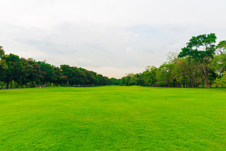 绿色的草坪，与曼谷市公园里的树木