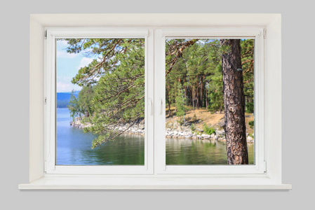 湖和松树的森林，从窗口的视图