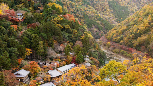 岚山在秋季的顶视图