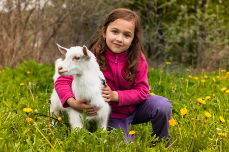 山羊的女孩拥抱小山羊在花园的草地上的小女孩照片