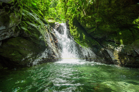 美丽的小瀑布，位于在绿色森林与求生在河里的石头