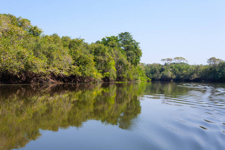 潘塔纳尔湿地，巴西湿地区域从全景