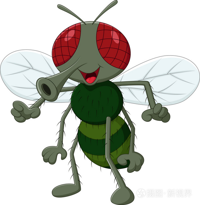 cartoon cute fly animal