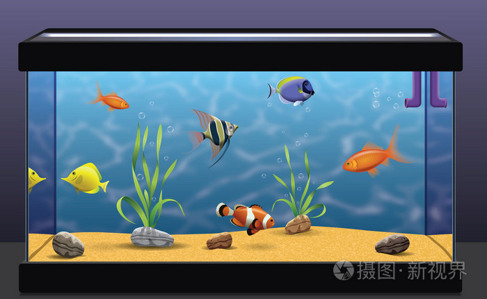 水族馆