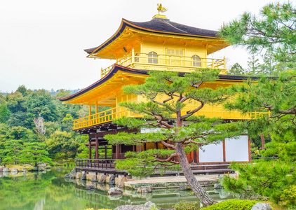 金阁寺 金阁 在京都，日本