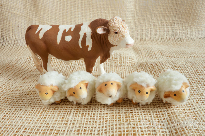 五个可爱的绵羊和奶牛场中