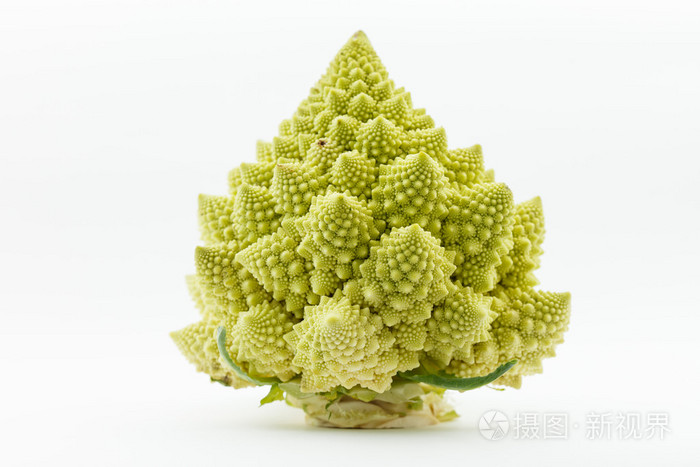 成熟的罗马花椰菜照片 正版商用图片0ce0az 摄图新视界 成熟的罗马花椰菜照片 正版商用图片0ce0az 摄图新视界
