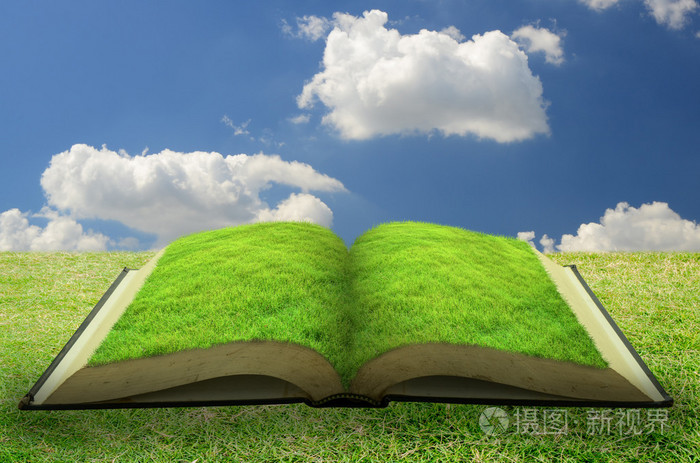 空旷的草地书与蓝蓝的天空背景