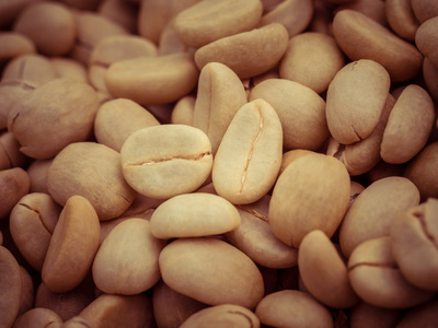 种子筛选筛选器效果复古怀旧风格的绿色的咖啡豆宏照片