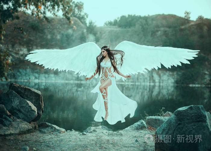 美丽的白色天使