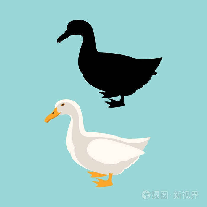 鸭矢量插图风格平黑色剪影