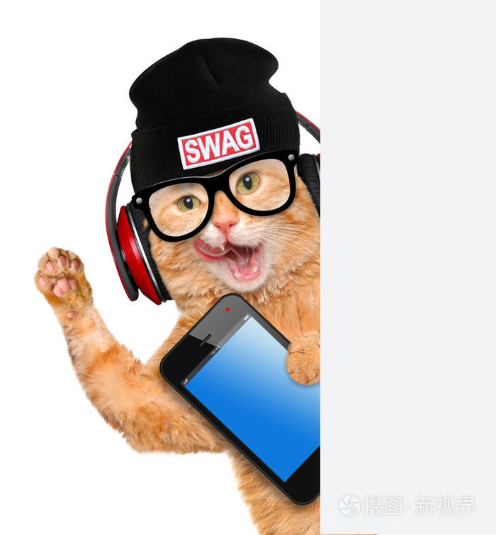 猫咪耳机