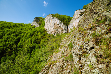 在春天的山风景