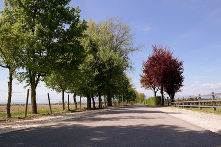 乡村道路