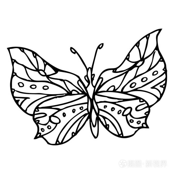黑色涂鸦装饰华丽蝴蝶上白色黑色孤立插画-正版商用图片0cerxd-摄图新