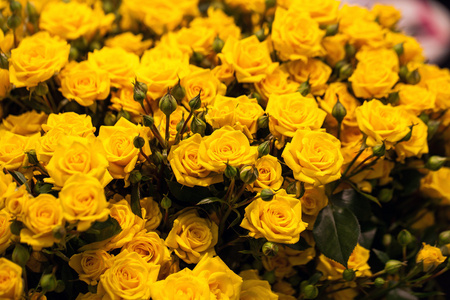美丽的黄玫瑰花束