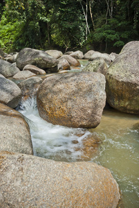 文冬 彭亨 马来西亚自然不发达的河
