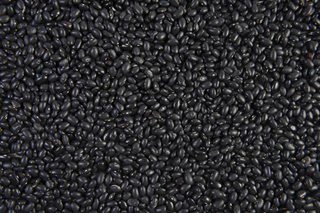 种子黑色豆有益健康纹理背景