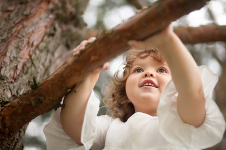 微笑的孩子爬在森林里的一棵松树