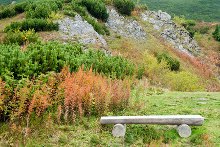 长凳五彩山植被的背景