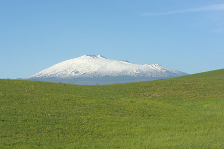 绿草和埃特纳火山