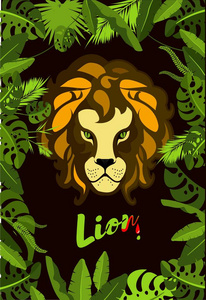 在热带丛林中的狮子座叶子图片