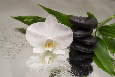 spa 背景-兰花黑石头和竹子上水照片