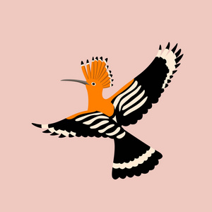 戴胜鸟图片