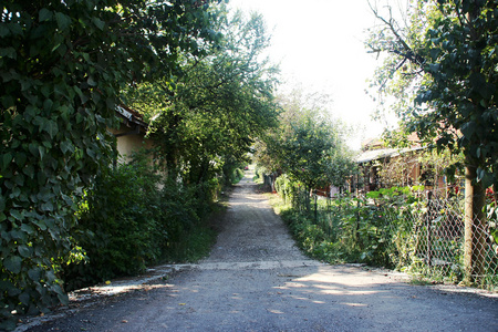 农村街道