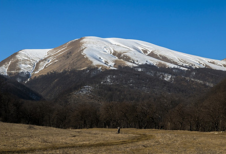 在高加索山