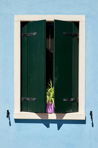 绿色的快门与花在锅中的窗口。意大利，威尼斯，布拉诺岛