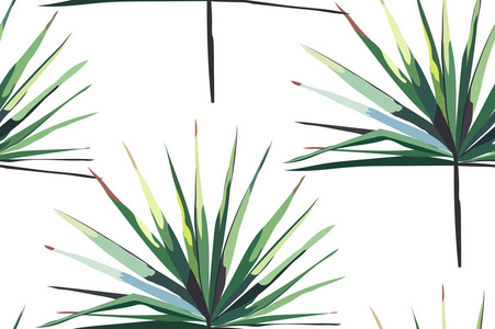 美丽明亮绿色热带奇妙夏威夷花卉草药夏天水平无缝的图案的棕榈树矢量图