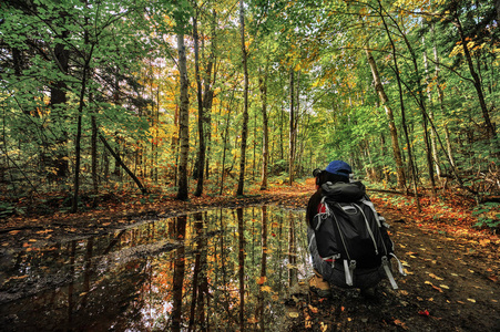 女人拍照在秋天的树林