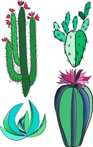 明亮的可爱的墨西哥的热带的花香的草药的夏天的绿色仙人掌油漆儿童矢量图所示的设置