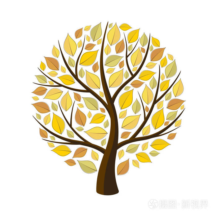 用黄色树叶秋天一棵树