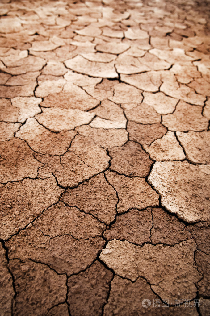 干燥开裂的土地