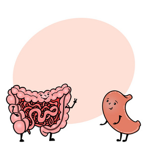 肠和胃肠道和胃字符,文本的空间照片