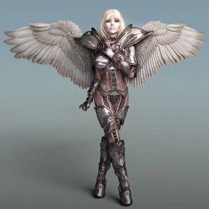 天使战士中甲的天使照片