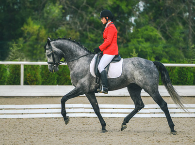 美丽的姑娘在先进盛装舞步测试在马术比赛上照片