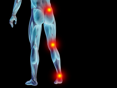 大腿骨图片-大腿骨素材-大腿骨插画-摄图新视界