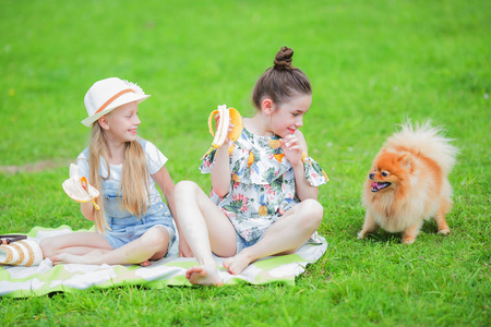 两个可爱可爱女孩子在玩他们的狗博美犬中夏公园