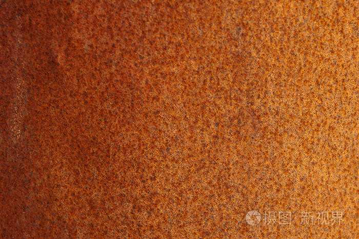 纹理橙锈菌
