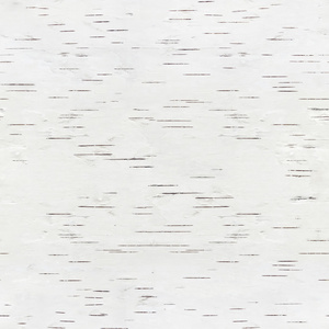 植物树皮图片-植物树皮素材-植物树皮插画-摄图新视界