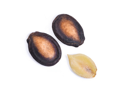 干西瓜种子图片